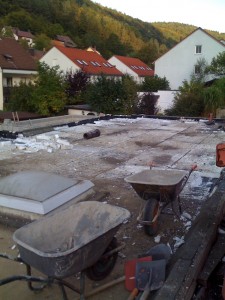 IMG_0690 IMG_0690