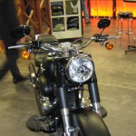 IMG_1441 IMG_1441