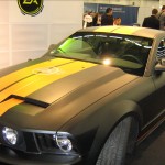 IMG_1445 IMG_1445