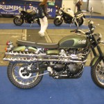 IMG_1446 IMG_1446